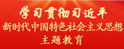 学习贯彻习近平新时代中国特色社会主义思想主题教育